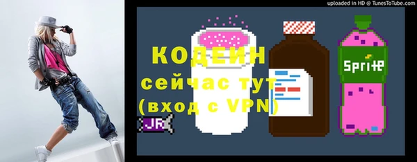 молекула духа Верхний Тагил