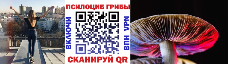 купить   Люберцы  Галлюциногенные грибы GOLDEN TEACHER 